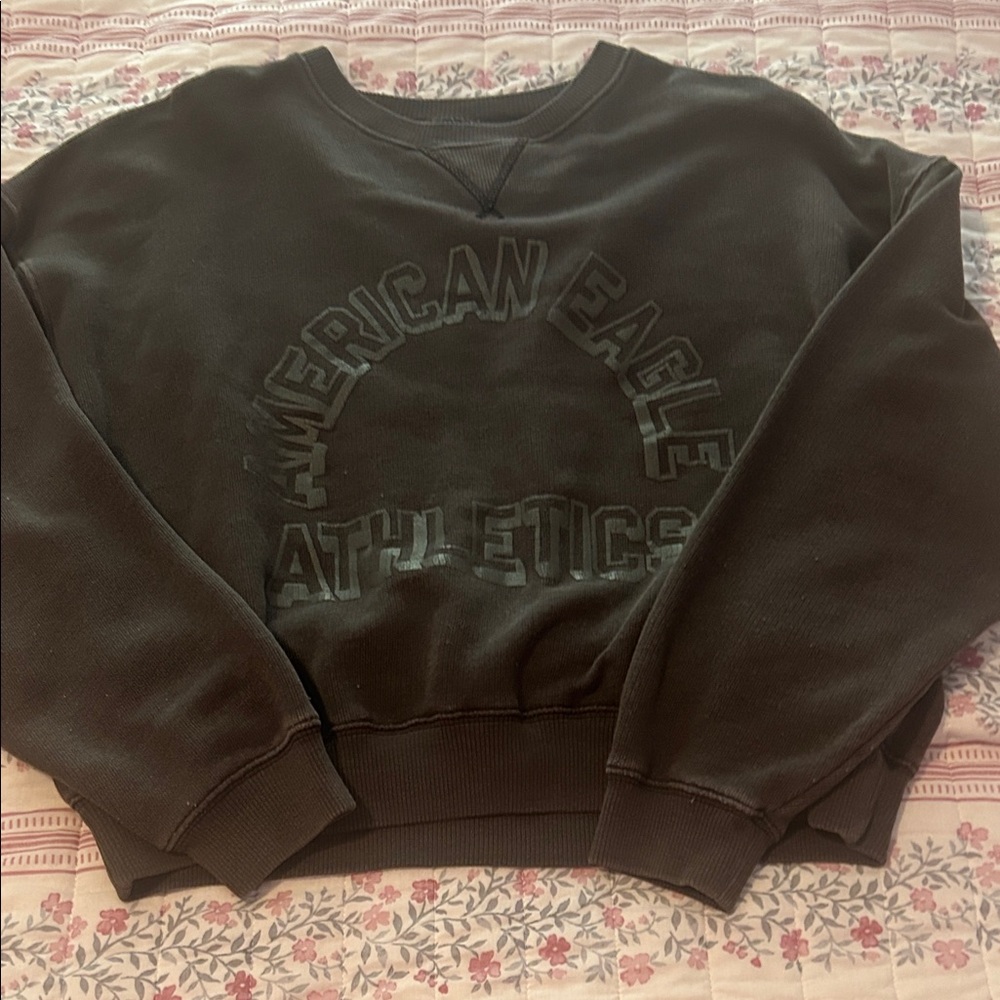American Eagle Outfitters Dark Brown Crew Neck Sweater